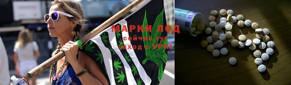 мяу мяу мука Горняк