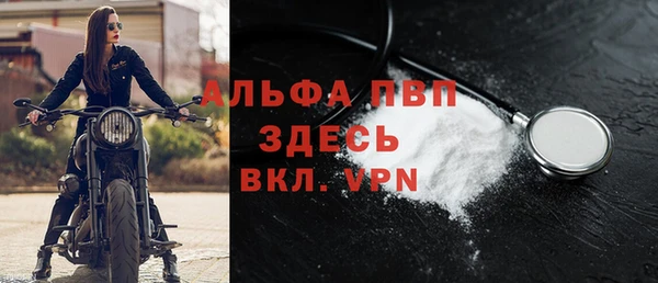 спиды Горно-Алтайск