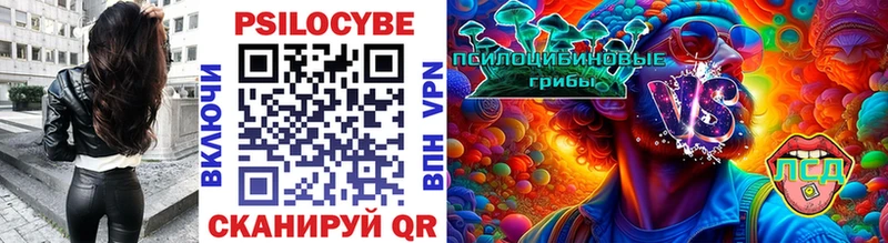 Галлюциногенные грибы Psilocybe  Купить  Лабытнанги 